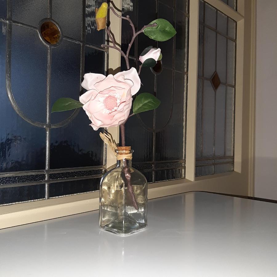 Apartman U Javoru Varnsdorf Luaran gambar