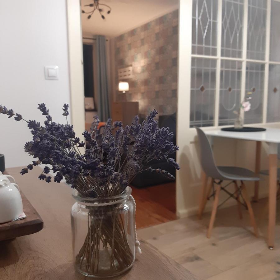 Apartman U Javoru Varnsdorf Luaran gambar
