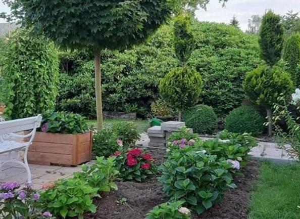 Apartman U Javoru Varnsdorf Luaran gambar